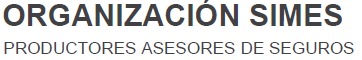 Organización Simes